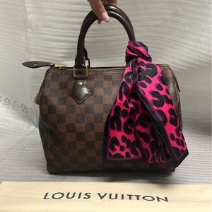 Louis Vuitton Damier Speedy 25